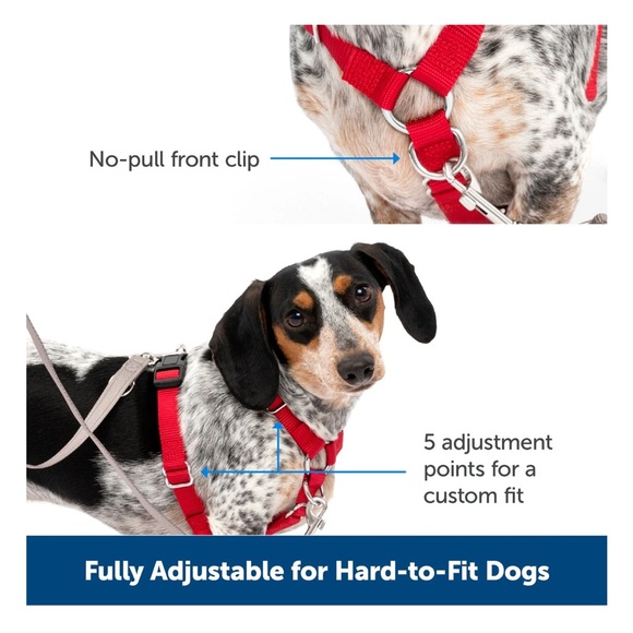 PetSafe Sure-Fit Adjustable Back Clip Dog Harness - Picture 3 of 5